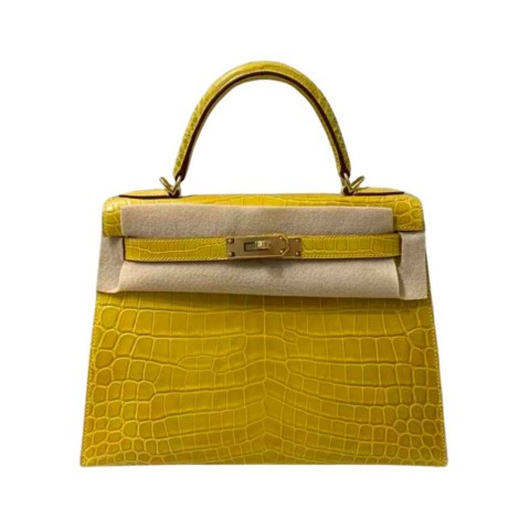 Hermès Kelly25 Mimosa Shiny Alligator&Gold Hardware