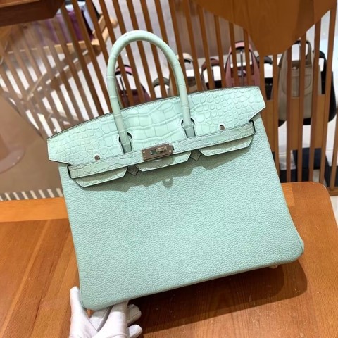 Hermès Birkin 30 Aqua Togo and Crocodile Niloticus Bag with Palladium Hardware