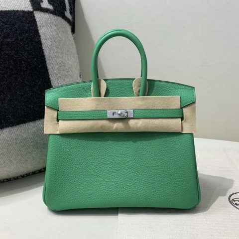Hermès Birkin 25 Vert Jade Togo Leather with Palladium Hardware