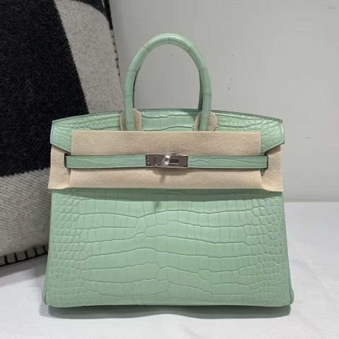 Hermès Kelly 25 Sellier Mint Crocodile with Palladium Hardware