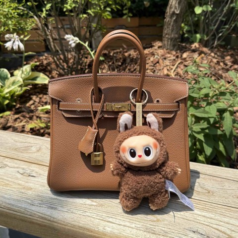Hermes Birkin 25 Gold Togo with Gold Hardwear