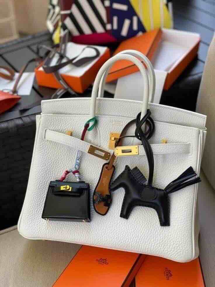 Hermès Birkin25 Togo Craie x Gold