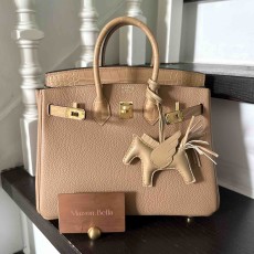 Hermès Birkin25 Touch Togo Matte Alligator Chai x Gold Hardware