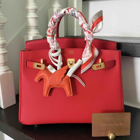 Hermès Birkin25 Togo Rouge de Cuir x Gold Hardware (HCP)