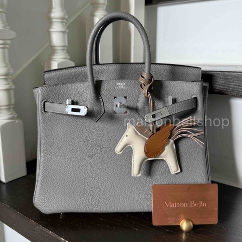 Hermès Birkin 25 Gris Meyer x Palladium Hardware