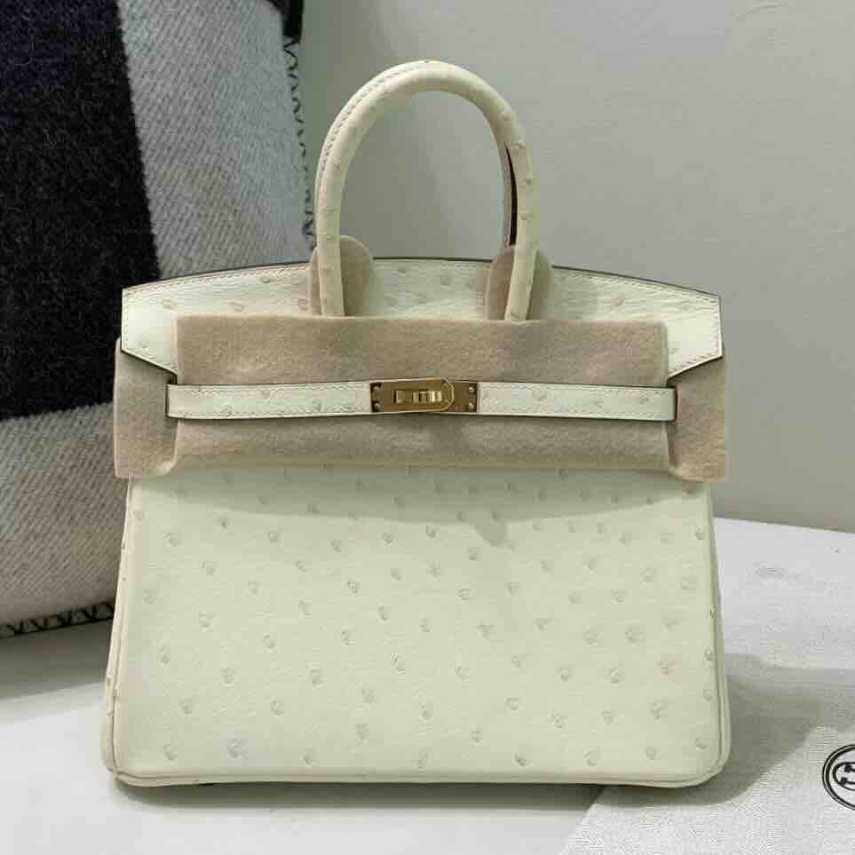 Hermès Birkin 25 Nata Ostrich x Gold Hardware