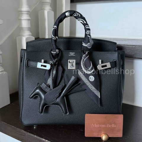 Hermès Birkin 25 Noir Togo x Palladium Hardware